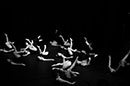 Don´t walk - DANCE!